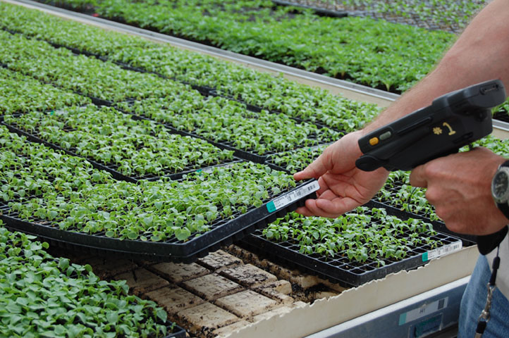 Grower scanning tray