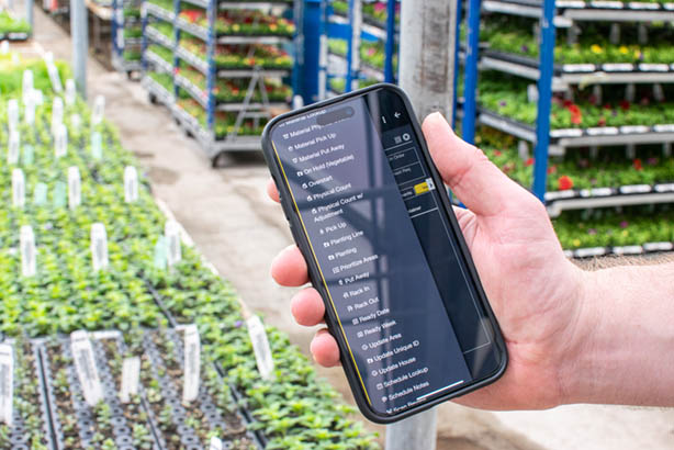 Picas.Mobile in greenhouse