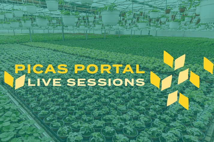 Picas Portal Live Session logo